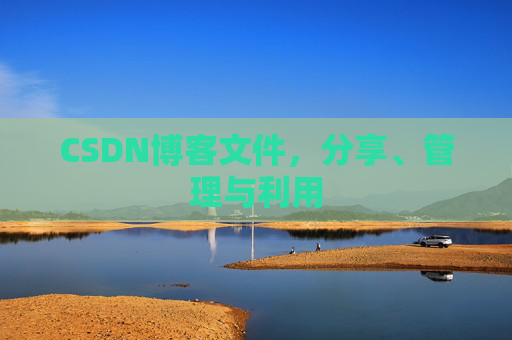 CSDN博客文件，分享、管理与利用